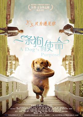女朋友的红色胸罩