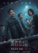 红地毯2014