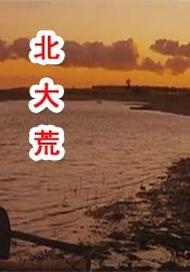 高清在线观看日韩