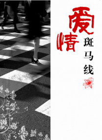 一本久久a久久精品vr综合